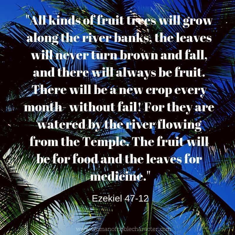 List of fruit trees in the bible