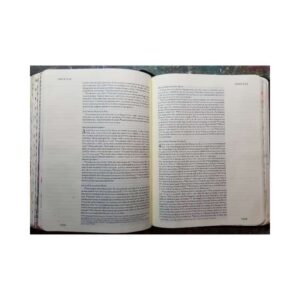 Bible art journaling Bible