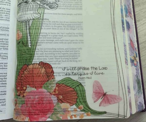 a page from the Inspire Journaling Bible