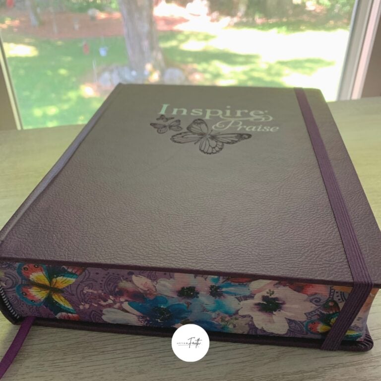 inspire praise journaling Bible