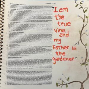 Creative Bible journaling devotional featuring John 15:1 with hand-lettered verse "I am the true vine, and my Father is the gardener" and vine illustrations.