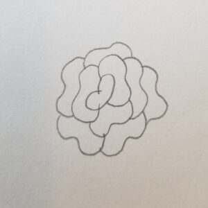 Bible Journaling Drawings: Simple & Beautiful Ways to Worship Through Art (Even If You’re Not an Artist) 23 Pencil sketch of a blooming carnation with layered, wavy-edged petals forming a full flower shape — intermediate step in drawing a carnation for Bible journaling