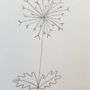 Bible Journaling Drawings: Simple & Beautiful Ways to Worship Through Art (Even If You’re Not an Artist) 19 Finished pencil sketch of a dandelion with delicate seed head, radiating lines, and a jagged leaf at the base — a simple step-by-step drawing for Bible journaling artwork