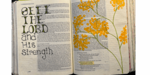 Bible journaling for beginners with hand-lettered Scripture from 1 Chronicles and painted yellow flowers creatively illustrating the verse "Seek the Lord and His strength."