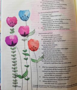 Bible Journaling Drawings: Simple & Beautiful Ways to Worship Through Art (Even If You’re Not an Artist) 27 watercolor flowers for easy Bible journaling